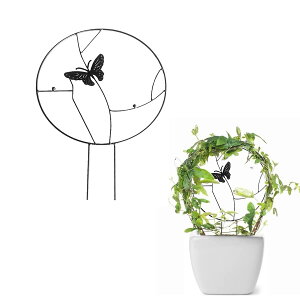 yzVanow |x  x xp[c A x Ax AT|[g Ԃ 鐫A ̑ Vanow ϗtxpbNK[ K[fjOpx Ԏx _Ɨp |p 