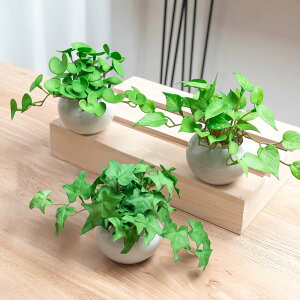 yzWillingYou tFCNO[  ~j 3_Zbg t lHϗtA  CeAG b炸 sv ItBX z[fR[V Mtg  Vz