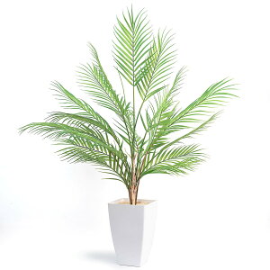 yzy100cmzWillingYou tFCNO[ lH ϗtA tFCN ^ MуV̖ t  CeA G b炸 sv  ItBX z[ ze f