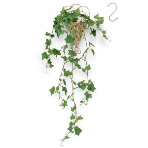 yzWillingYou tFCNO[ ݂艺 Ǌ| ZbgyIVȃoXPbgtzS80cm lH ϗtA tFCN y Mtg  FFO[ATCYFSmall