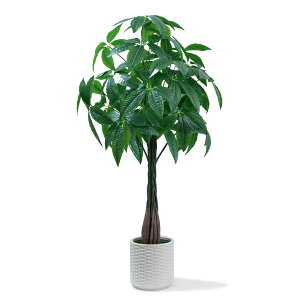 yzWillingYou tFCNO[ ^ lHϗtA pL ϗt yJ^EK̖؁z105cm  ΂t  ItBX A CeA FFO[ATCYF105 cm