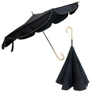 yztP P tP yCARRY saKASA L[TJT Sun Shut Model TVbgf z P fB[X Jp ՔM Ռ 99.99%ȏ UVJbg99.9%ȏ    FF