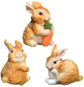 yzelrinrin K[fjO  u CeA K[fI[ig  IuWF 3C Zbg ̒u FFETM3C / AZbg