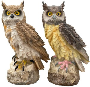 yzelrinrin u tNE K[f IuWF K[fjO jg JX 悯 G悯 A  J^  (Zbg) FF,