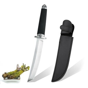 yzIrai UtakiiCt V[XiCt AEghAiCtymzn13.5 cm 440XeX| y LviCt [pV[Xt FFm