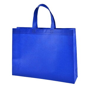 yz[Riblind] 񂰑 sDz obO [ g[gobO   GRobO Vbv A4TCY FFu[ATCYFc@20