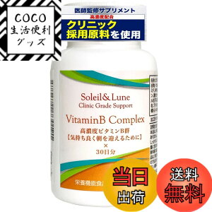 �y���������z�y��t�ďC�z�r�^�~��B �R���v���b�N�X 60�� 30�����y ���Z�x �r�^�~��B�Q �S8��� �z�N���j�b�N�p�T�v���̌��ޗ����g�p