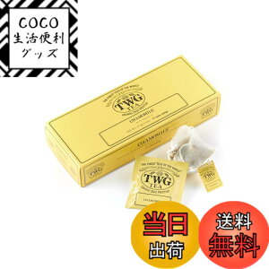 �y���������zTWG Tea �g�� �e�B�[�o�b�O �T�C�Y�F2.5�O���� (x 15)