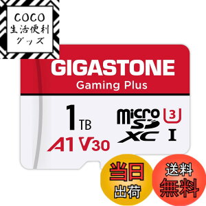 �y���������zGIGASTONE �}�C�N��sd�J�[�h 1TB-2-1 Core Group �F�F1TB Gaming Plus 1���Z�b�g�A�T�C�Y�F1TB