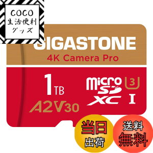 �y���������zGIGASTONE �}�C�N��sd�J�[�h 1TB-4-1 Core Group �F�F1TB Camera Pro 1���Z�b�g�A�T�C�Y�FPro Series