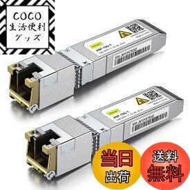 【送料無料】10Gtek 10GBase-T SFP+モジュール, 10G-T, 10Gカッパー, RJ-45 SFP+ CAT.6a, 最大30m, 光トランシーバ 色：x2、サイズ：2個入り