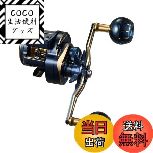 �y���������z�_�C��(DAIWA) �J�E���^�[�t���I�t�V���A�x�C�g���[�� SALTIGA(�\���e�B�K)IC 100~300�� �V���O���n���h��/�_�u���n���h�� �e��(2021-2023���f��) �F�F�s���A�T�C�Y�F300L-DH