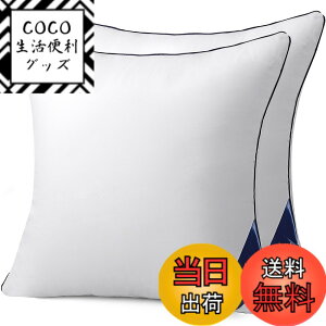 �y���������zBelinna �N�b�V���� �֎q�N�b�V���� �w������N�b�V���� �\�t�@�[�N�b�V���� �F�F�z���C�g�A�T�C�Y�F55cm*55cm�i2�j