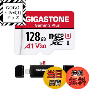 �y���������zGIGASTONE �}�C�N��sd�J�[�h 128-2-1 Core Group �F�F128GB Gaming Plus 1��+Type C�J�[�h���[�_�[