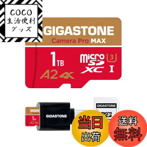 �y���������zGIGASTONE �}�C�N��sd�J�[�h 128-4-1 Core Group �F�F1TB Camera Pro MAX 1��+Type C�J�[�h���[�_�[�A�T�C�Y�F1TB 4K Camera Pro MAX + USB C Card Reader