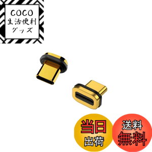 �y���������zYFFSFDC USB Type C �ϊ��A�_�v�^ �F�FType-c�[�q 2�p�b�N