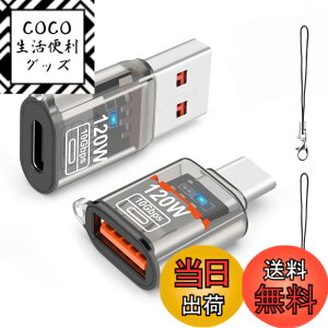 �y���������zleizhan USB Type-C �I�X����USB ���X�A�_�v�^�[�A10Gbps/120W Type-C����USB 3.1�����[�d�E�f�[�^�]���EOTG�A�_�v�^�[ �F�FTransparent black�A�T�C�Y�F120W USB - TypeC