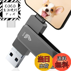 �y���������z�y�A�v���s�v�z4in1 Phone�Ή� USB������ �F�F�u���b�N�A�T�C�Y�F256GB