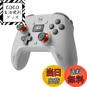 �y���������zBIGBIG WON �R���g���[���[ �F�F�O���[�A�T�C�Y�FAETHER C6