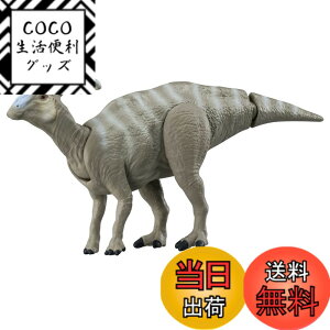 ���i�摜