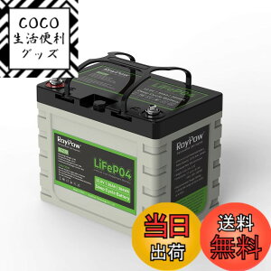 �y���������zRoyPow 12V LiFePO4 �����_�S���`�E���C�I���o�b�e���[