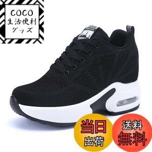 �y���������z[ziitop] ����X�j�[�J�[ ���f�B�[�X �C���q�[���X�j�[�J�[ �V�[�N���b�g�V���[�Y ���r �^���C �E�H�[�L���O�V���[�Y �J�W���A���V���[�Y �y�� 4CM/6CM/7CM/8CM �g���A�b�v �F�F�u��