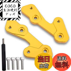 �y���������zLEDISHUN �o�b�N�X�e�b�v �A�W���X�^�[ 30mm �A�b�v 25mm �o�b�N �J���T�L ZX-25R(2020-2023) ZX-4R ZX-4RR (2023+)�ɓK�p �F�F�S�[���h