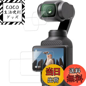 �y���������zKPNS ���{�f�ސ� �����K���X �p �K���X�t�B���� �J�����t�B���� �ی�t�B���� �T�C�Y�F2-DJI Osmo Pocket 3