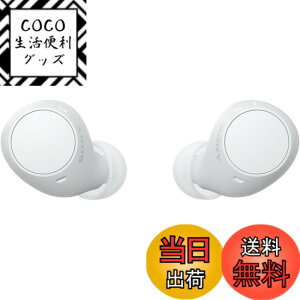 �y���������z�\�j�[(SONY) ���S���C�����X�C���z�� WF-C500/WF-C510 :/�����x�ʘb�i��/IPX4�h�H���\ �F�F�z���C�g�A�T�C�Y�F���^�y��