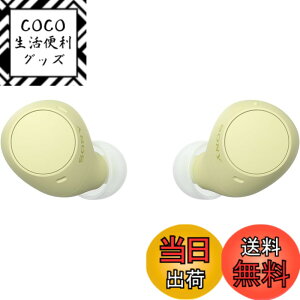 �y���������z�\�j�[(SONY) ���S���C�����X�C���z�� WF-C500/WF-C510 :/�����x�ʘb�i��/IPX4�h�H���\ �F�F�C�G���[�A�T�C�Y�F���^�y��