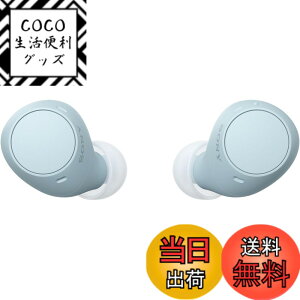 �y���������z�\�j�[(SONY) ���S���C�����X�C���z�� WF-C500/WF-C510 :/�����x�ʘb�i��/IPX4�h�H���\ �F�F�u���[�A�T�C�Y�F���^�y��