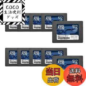 �y���������zPatriot P210 Parent Solid State Drive SSD �F�F�u���b�N�A�T�C�Y�F512GB 10 Pack