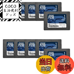 �y���������zPatriot P210 Parent Solid State Drive SSD �F�F�u���b�N�A�T�C�Y�F1TB 10 Pack Retail Packaging