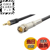 【送料無料】BNC端子 (オス)→3.5mmステレオミニプラグ (オス) 75Ω 変換ケーブル 1m 【WV-BNC35-1】