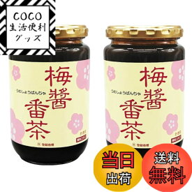 【送料無料】お得な2個セット!!　梅醤番茶 360g x 2個