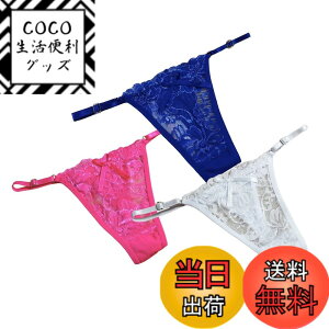�y���������zBUZZxSELECTION(�o�Y �Z���N�V����) T�o�b�N ���� 2�� �܂Ƃ� �Z�b�g �Z�N�V�[ �����W�F���[ ���f�B�[�X TVS02MC01 �F�F3���Z�b�gB�A�T�C�Y�FFree Size