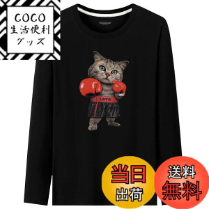�y���������zBUZZxSELECTION(�o�Y �Z���N�V����) T�V���c ���� ����T �J�b�g�\�[ �g�b�v�X �L �L���b�g �A�j�}�� �����Y TSL039 �F�F01 �u���b�N�A�T�C�Y�FXL