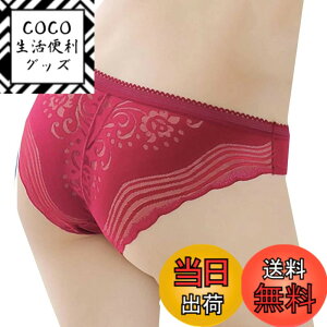 �y���������zBUZZxSELECTION(�o�Y �Z���N�V����) �V���[�c ���[�X �V�[�����X �p���c ���� �Z�N�V�[ ���f�B�[�X TV142 �F�F���C���A�T�C�Y�FFree Size