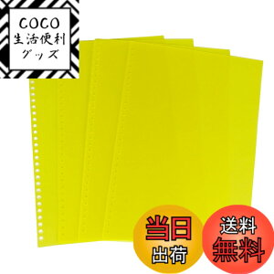 �y���������zRAYSOONER A4PP-30 A4 ���{�J�o�[ ���{�\�� �}�b�g�J�o�[ 30�� 50�� �F�F�C�G���[