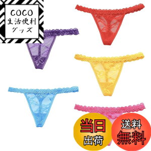 �y���������z[�o�Y �Z���N�V����] ���� T�o�b�N 5���Z�b�g �V���[�c �p���c �����W�F��? �t���� �Z�N�V�[ ���f�B�[�X TVS05TV181 �F�FL�Z�b�g�A�T�C�Y�FFree Size