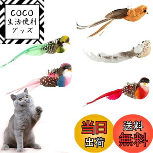 �y���������zRoczential �L�̉H�̂�������A�l�ߑւ��L�̂�������̏�̌����A�C���^���N�e�B�u�ȔL����炵�̉H�̂�������A�l�ߑւ��̉H�̒��̔L�̖_�̂�������A�L�̏�̂�������p��