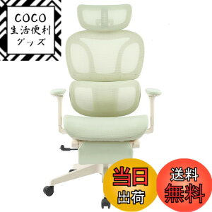 �y���������zFLEXISPOT �I�t�B�X�`�F�A �f�X�N�`�F�A C7 �l�ԍH�w �G���S�m�~�N�X�`�F�A ���b�V���`�F�A �Ɨ��^�����o�[�T�|�[�g ���N���C�j���O�\ �V���N�����b�L���O ���i�K�Œ� �O�X�`��