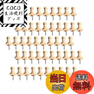 �y���������zRoczential 50���� ��e �� ��e �I�V���� �ڗ����Ȃ� �J�����_�[ ������� �Ղ����Ȃ� �����p �Œ�p �f���p ���p �I�t�B�X �w�K �w�Z �����p�i �ڗ����Ȃ� ���[�P�[�X�t�� 