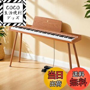 �y���������zTERENCE �d�q�s�A�m 88�� �J�E���^�[�E�F�C�g���� �ؐ� P10 �F�F�ؐF