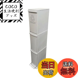 �y���������zAZUMAYA �_�X�g�{�b�N�X �F�F�O���[�A�T�C�Y�F3D