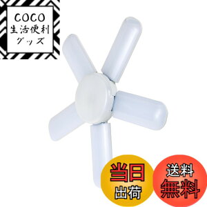�y���������zSK11 LED���[�t���C�g2 �����p �����F �F�F�z���C�g�A�T�C�Y�F�{��