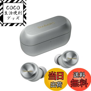 �y���������z�e�N�j�N�X ���C�����X�C���z�� AZ100 �F�F�V���o�[