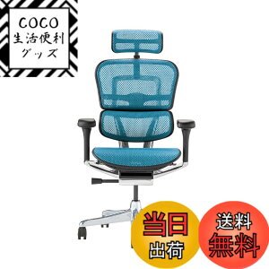 �y���������z�G���S�q���[�}��2(Ergohuman2) �I�t�B�X�`�F�A �F�F�t���[��:BLACK / ���b�V��:BLUE�A�T�C�Y�F�n�C�^�C�v