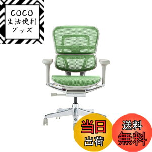 �y���������z�G���S�q���[�}��2(Ergohuman2) �I�t�B�X�`�F�A �F�F�t���[��:GRAY / ���b�V��:GREEN�A�T�C�Y�F���[�^�C�v