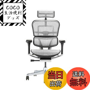 �y���������z�G���S�q���[�}��2(Ergohuman2) �I�t�B�X�`�F�A �F�F�t���[��:BLACK / ���b�V��:WHITE�A�T�C�Y�F�n�C�^�C�v